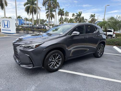 Cloudburst Gray 2023 Lexus NX 350h Premium