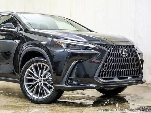 2023 Lexus NX 350 Luxury