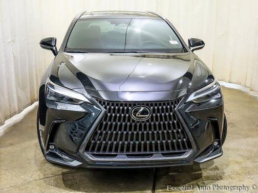 2023 Lexus NX 350 Luxury