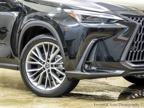 2023 Lexus NX 350 Luxury