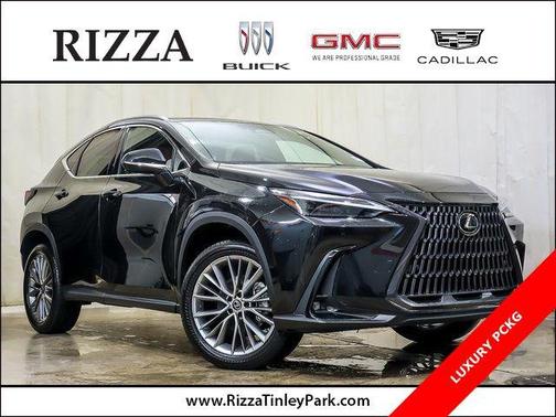 2023 Lexus NX 350 Luxury