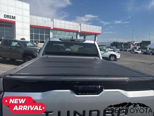 2022 Toyota Tundra Platinum