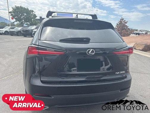 2020 Lexus NX 300 Luxury