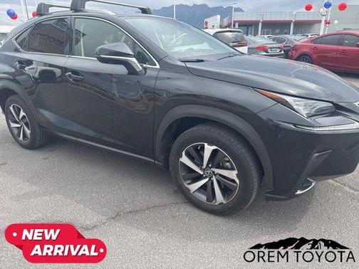 2020 Lexus NX 300 Luxury