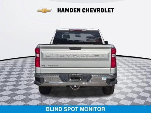 Silver Ice Metallic 2019 Chevrolet Silverado 1500 WT