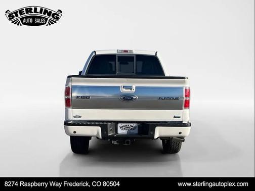 2010 Ford F-150 Platinum