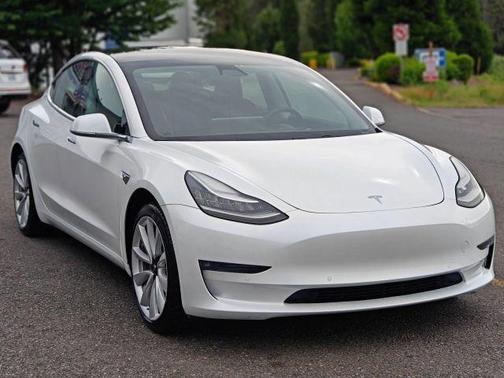 Pearl White Multi-Coat 2019 Tesla Model 3 Long Range