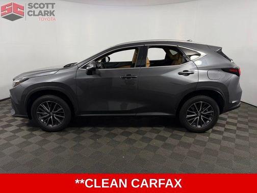2024 Lexus NX 250 Premium
