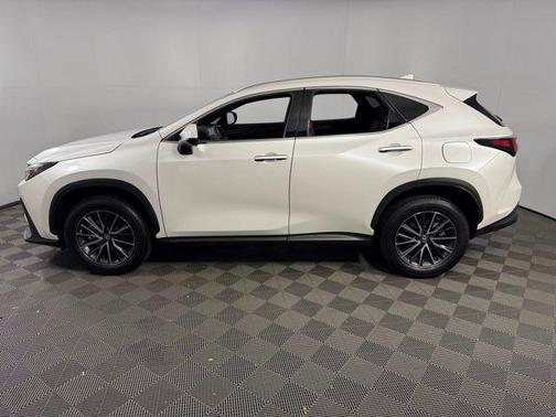 2024 Lexus NX 250 Premium
