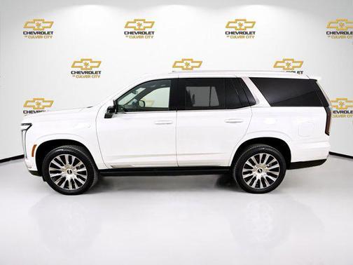 2025 Cadillac Escalade Premium Luxury Platinum