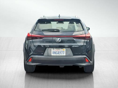 2019 Lexus UX 250h F Sport