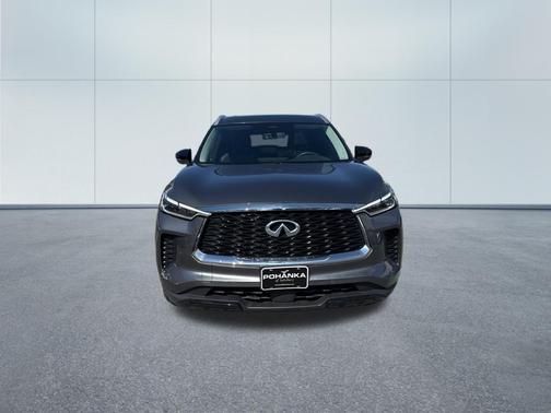 Graphite Shadow 2023 INFINITI QX60 Luxe