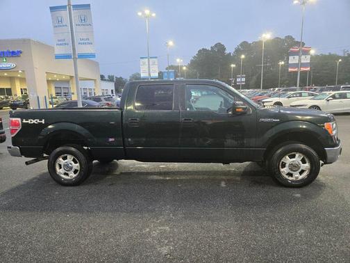 Green 2014 Ford F-150 XLT