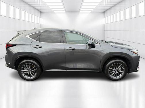 2023 Lexus NX 250 Base
