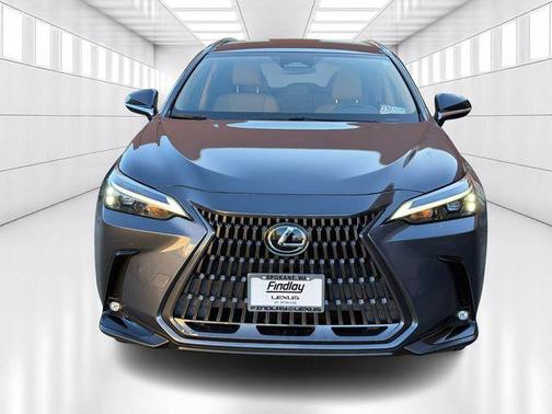 2023 Lexus NX 250 Base