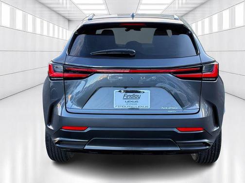 2023 Lexus NX 250 Base