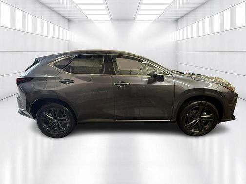 Cloudburst Gray 2026 Lexus NX 450h+ Luxury