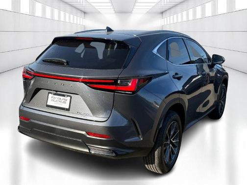 Cloudburst Gray 2025 Lexus NX 350 Premium