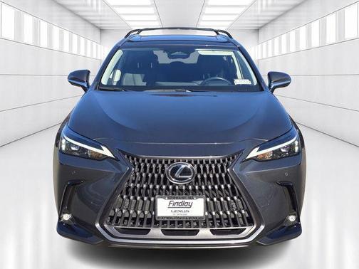 2025 Lexus NX 350h Premium