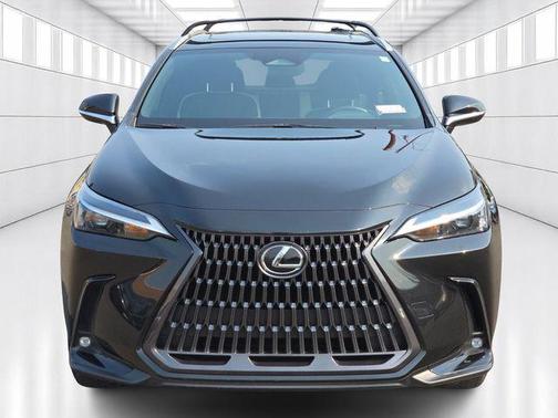 2022 Lexus NX 350h 350h Base