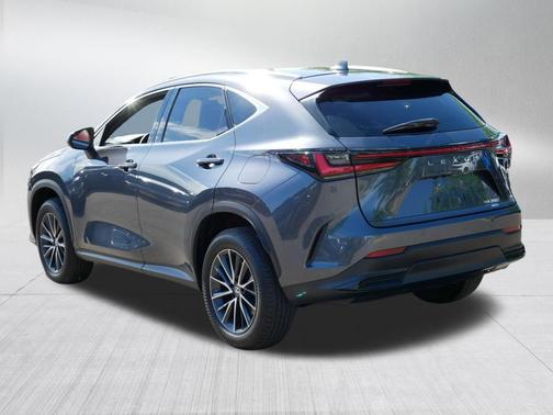 Cloudburst Gray 2024 Lexus NX 350 Premium