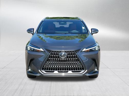Cloudburst Gray 2024 Lexus NX 350 Premium