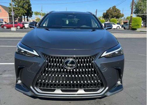 Cloudburst Gray 2024 Lexus NX 350 Premium