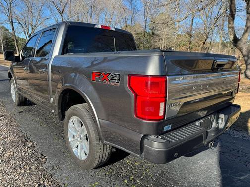 2019 Ford F-150 Platinum