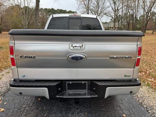 2010 Ford F-150 Platinum