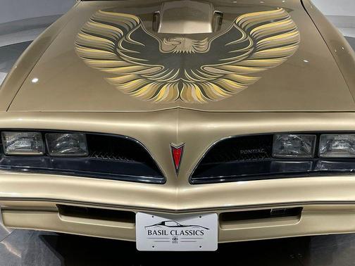 1978 Pontiac Firebird 