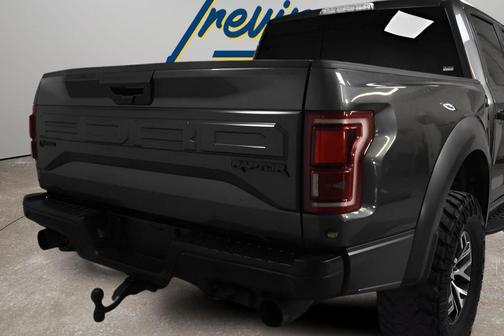Magnetic 2018 Ford F-150 Raptor