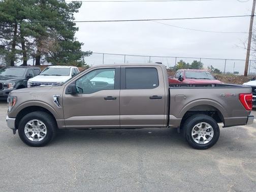STONE GRAY METALLIC 2023 Ford F-150 XLT