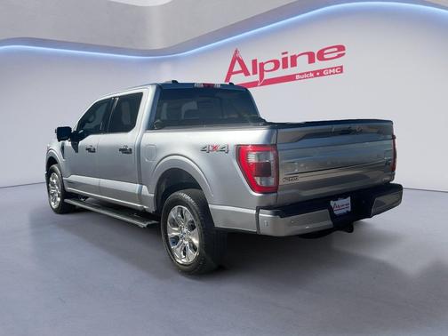 Iconic Silver Metallic 2022 Ford F-150 Platinum