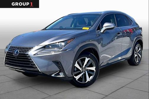Nebula Gray Pearl 2019 Lexus NX 300h Base