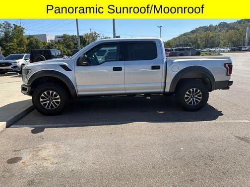 Ingot Silver 2019 Ford F-150 Raptor