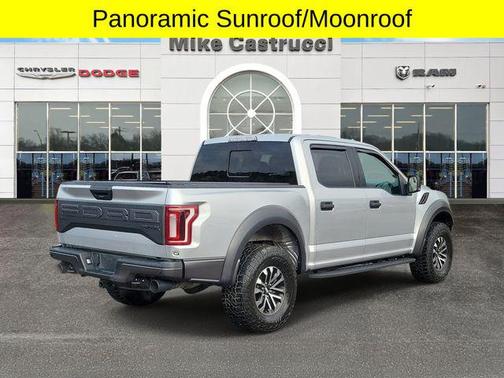 Ingot Silver 2019 Ford F-150 Raptor