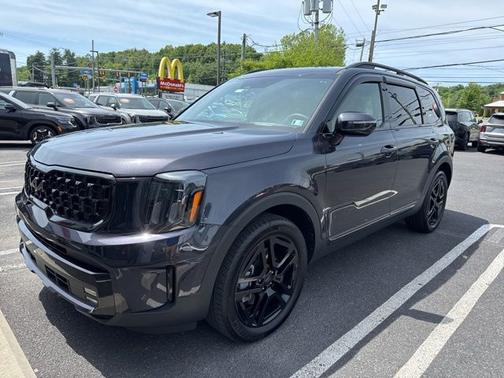 Panthera Metal 2025 Kia Telluride SX-Prestige X-Line