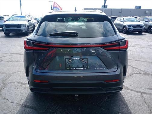 2024 Lexus NX 250 Premium