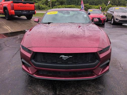 Molten Magenta Metallic Tri-coat 2025 Ford Mustang EcoBoost