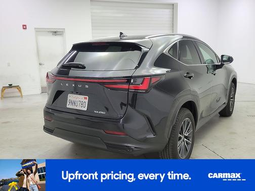 2025 Lexus NX 250 