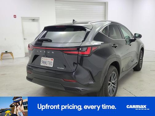 2025 Lexus NX 250 