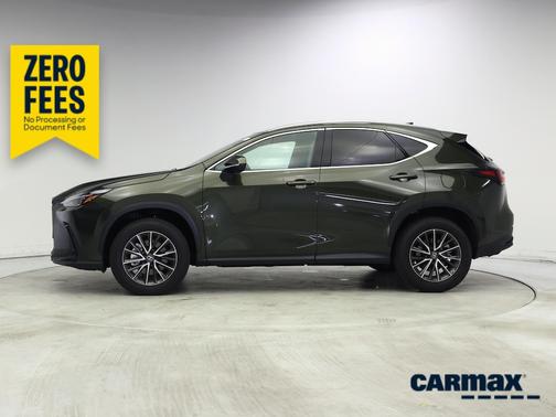 Green 2025 Lexus NX 250 Premium