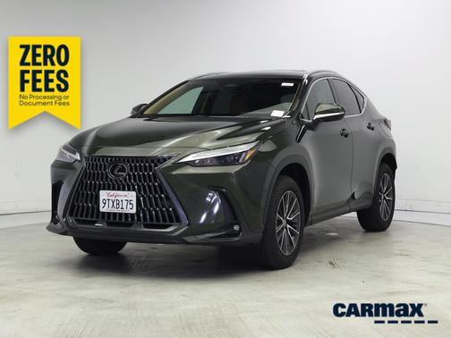 Green 2025 Lexus NX 250 Premium