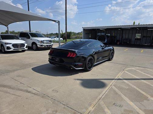 2019 Ford Mustang EcoBoost