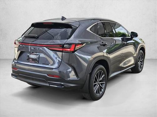 Cloudburst Gray [Gra 2025 Lexus NX 250 Premium