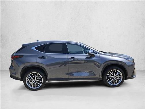 Cloudburst Gray 2022 Lexus NX 350h Premium