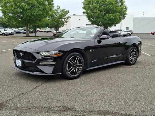 SHADOW BLACK 2019 Ford Mustang GT PREMIUM