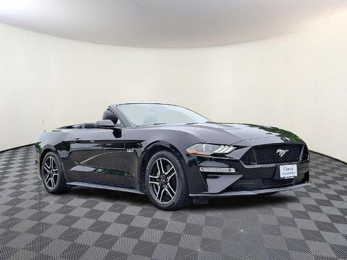 SHADOW BLACK 2019 Ford Mustang GT PREMIUM