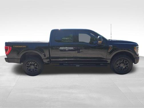 Agate Black Metallic 2023 Ford F-150 Tremor