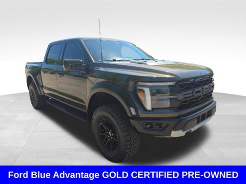 Shelter Green 2024 Ford F-150 Raptor